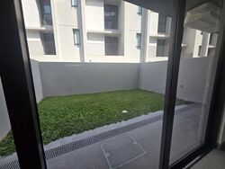 Pollen Collection (D28), Terrace #618138411